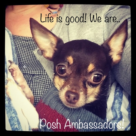 Other - BIG event now!🌈